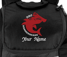 DAC Speedo Teamster Backpack 2.0