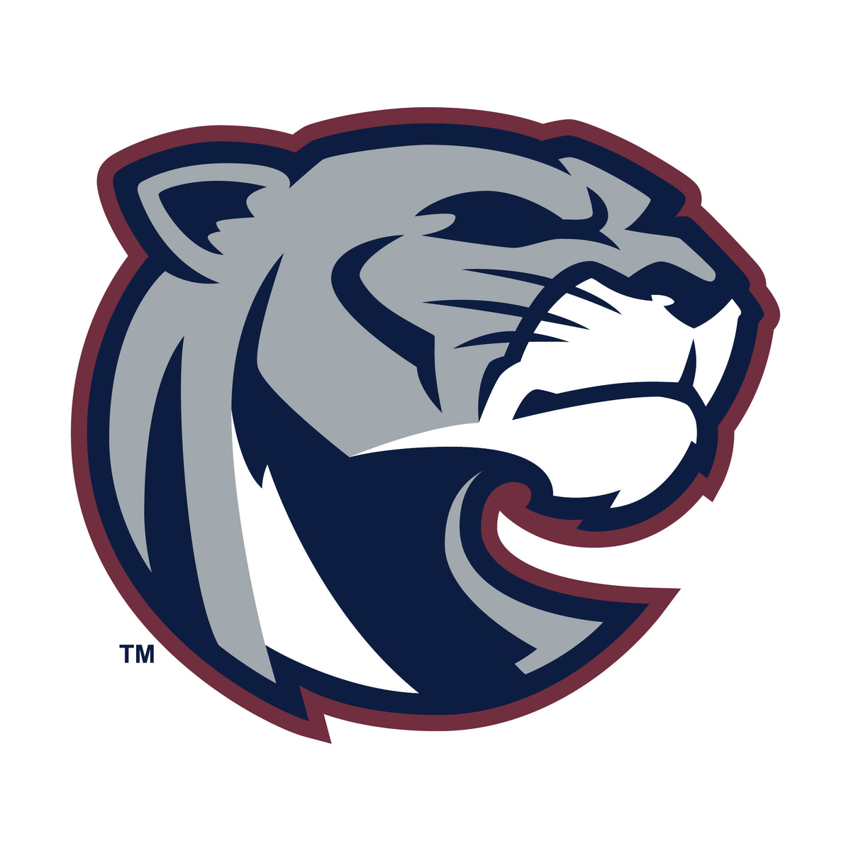 Cherokee Trail Boys TYR Jammer