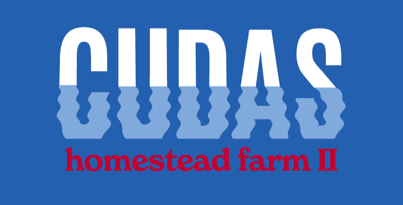 Homestead Farm II Nike Racerback 1-Piece (Coverage)