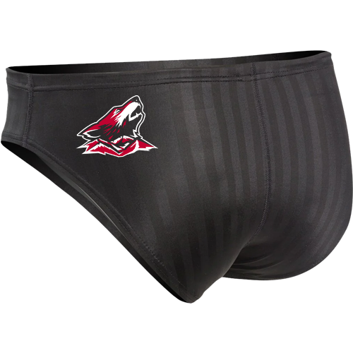 LHS Boys Speedo Aquablade Brief