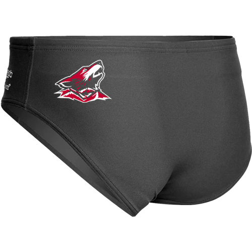 LHS Boys Speedo Endurance Brief