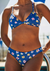 Jolyn Triangle Bikini Top - Coralina