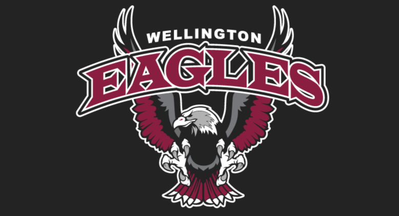 Wellington TYR Durafast DiamondFit 1-Piece