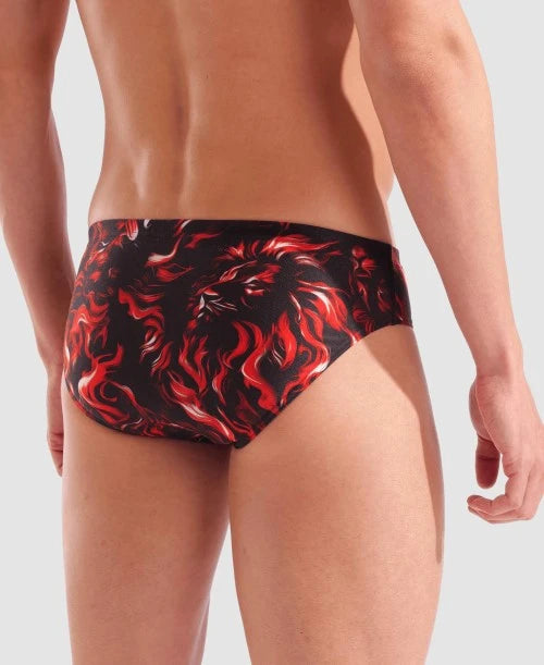 Arena Indomitus Briefs