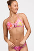 Jolyn Tomcat Bikini Top - Sundae