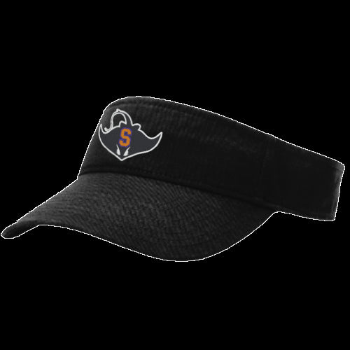 Stapleton Team Visor
