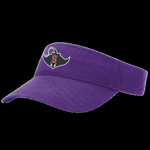 Stapleton Team Visor