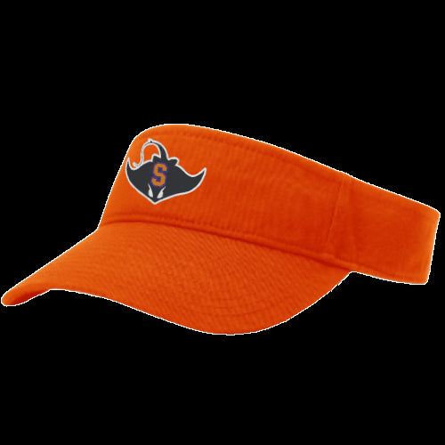 Stapleton Team Visor