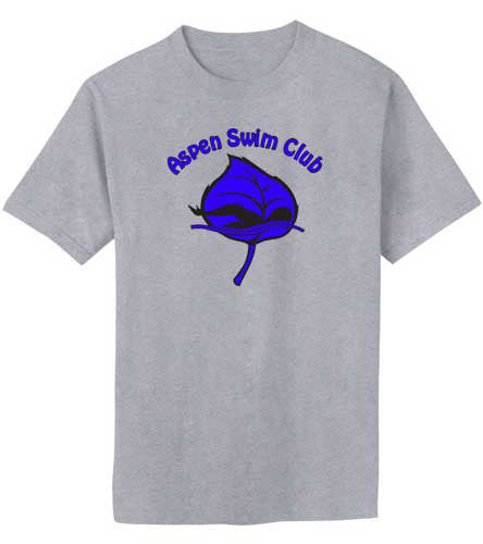 Aspen TriBlend T-Shirt