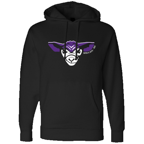 Fort Collins HS Boys Team Hoody