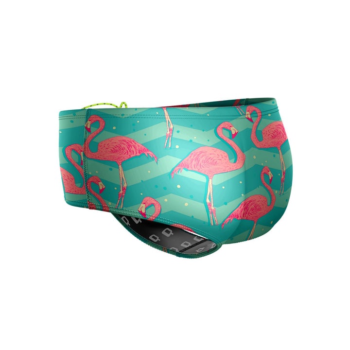 Q Swimwear Flamingo Brief