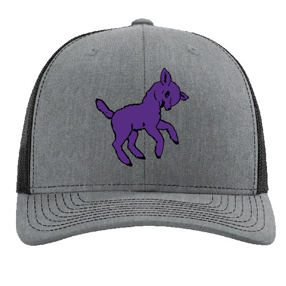 Fort Collins HS Girls Trucker Hat