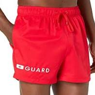 Speedo Lifeguard Men's 14" Volley Short